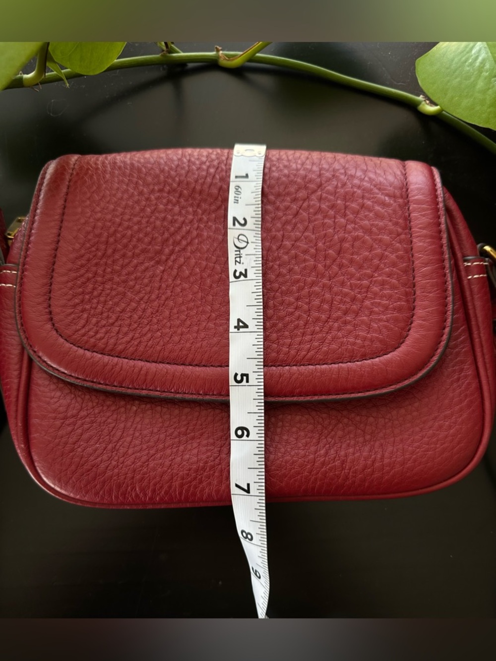 J. Crew Lock & Key Crossbody - Picture 13 of 13